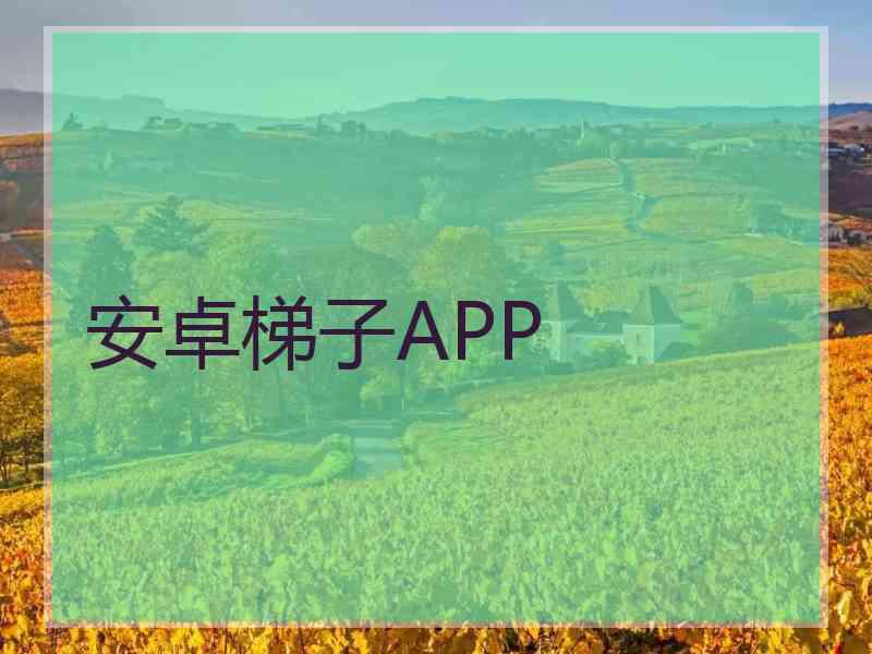 安卓梯子APP