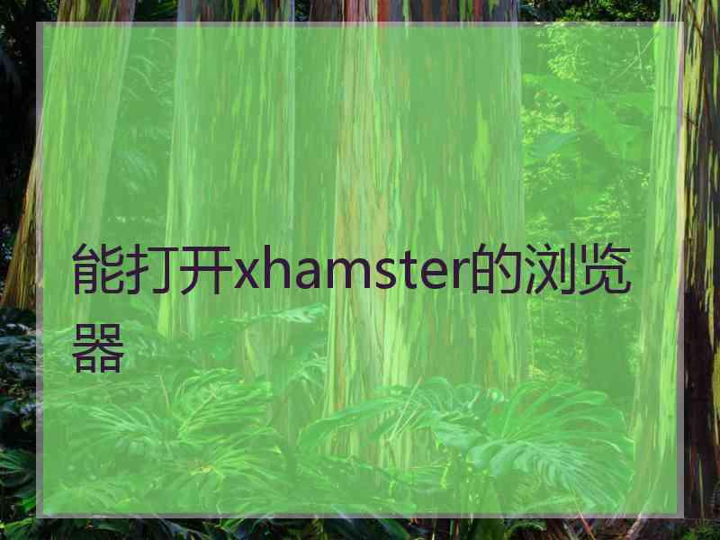 能打开xhamster的浏览器