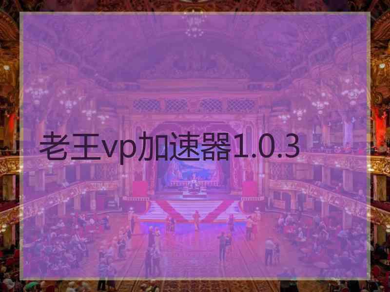 老王vp加速器1.0.3