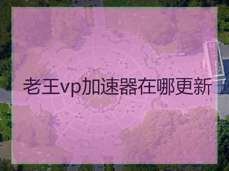 老王vp加速器在哪更新