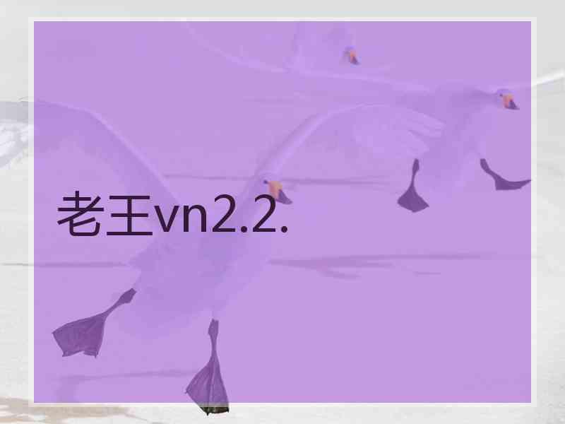 老王vn2.2.