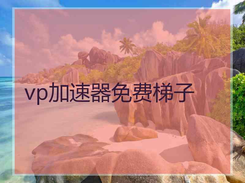 vp加速器免费梯子