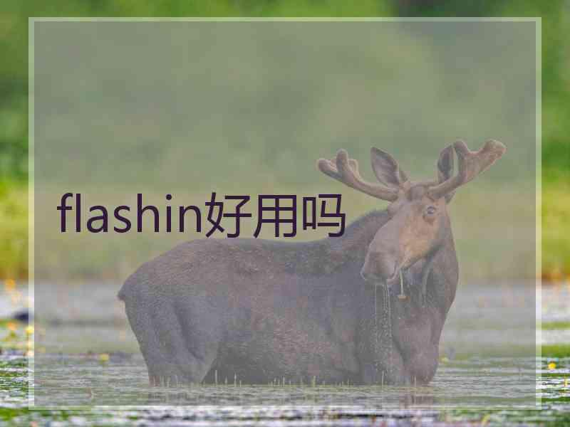 flashin好用吗