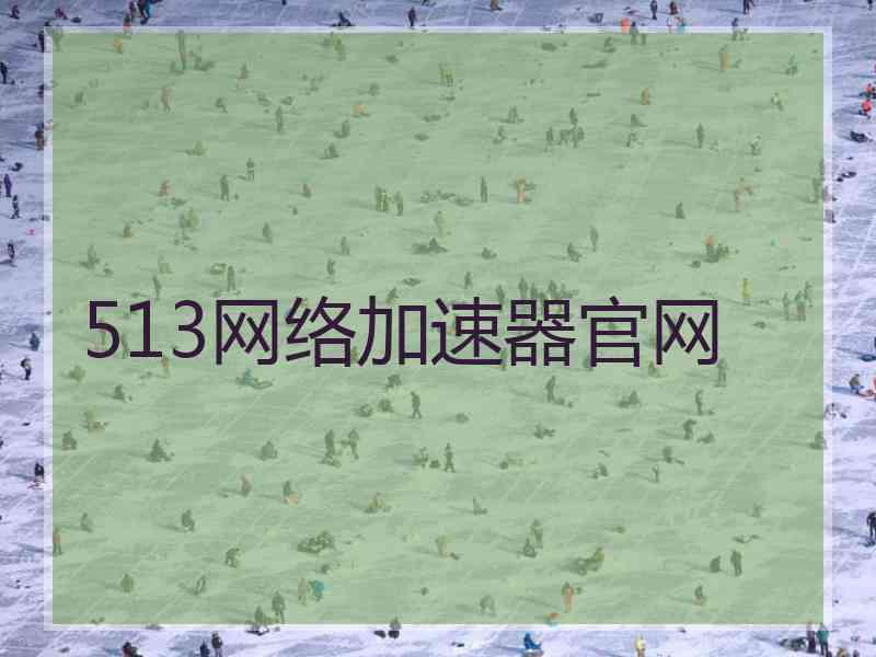 513网络加速器官网