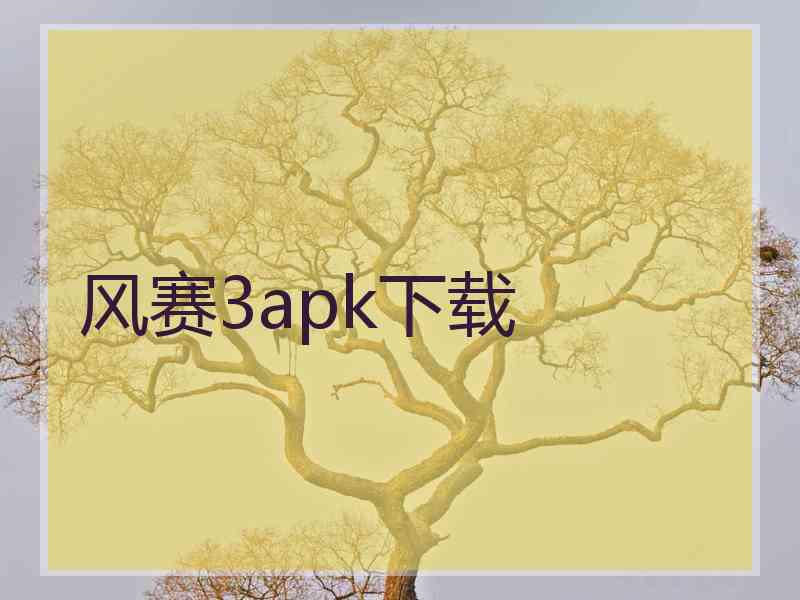 风赛3apk下载