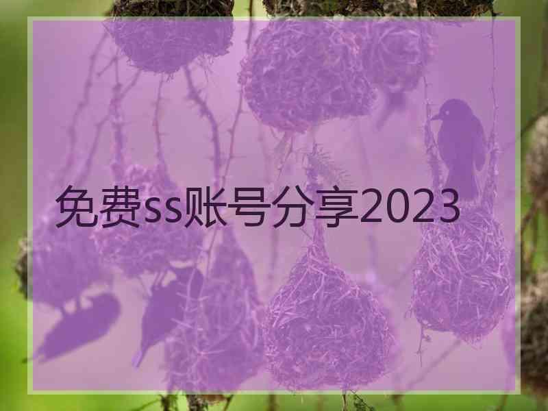 免费ss账号分享2023