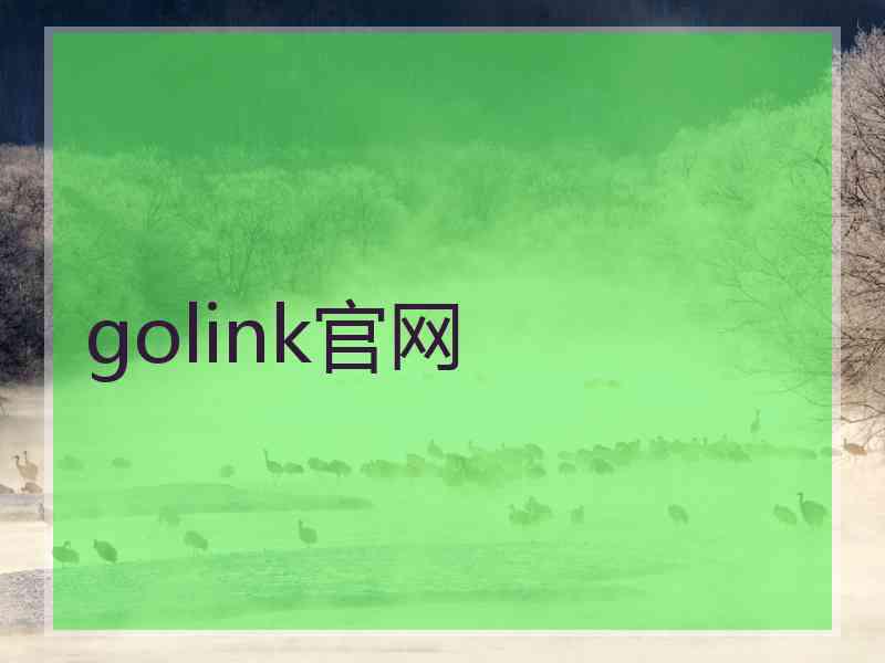 golink官网