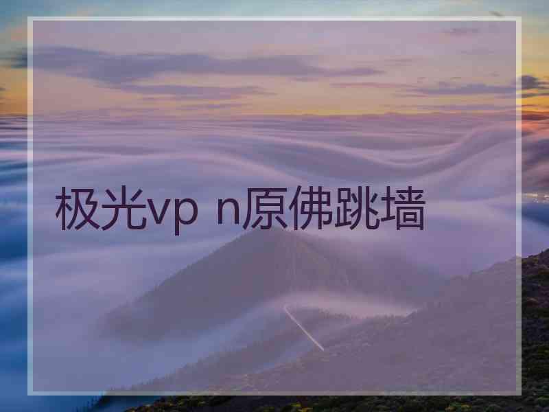 极光vp n原佛跳墙