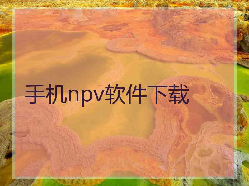 手机npv软件下载