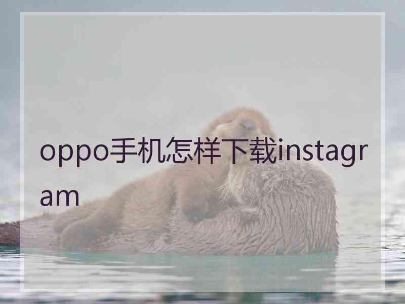 oppo手机怎样下载instagram