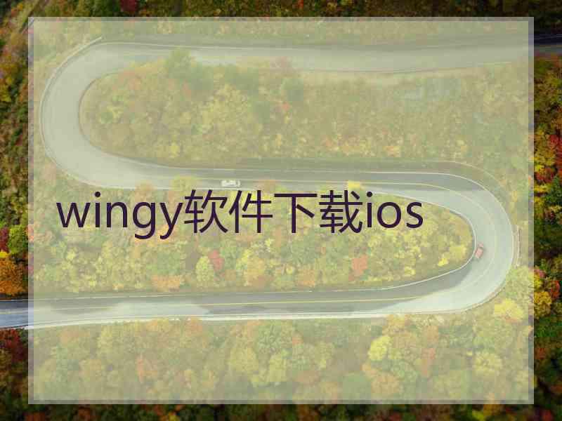 wingy软件下载ios