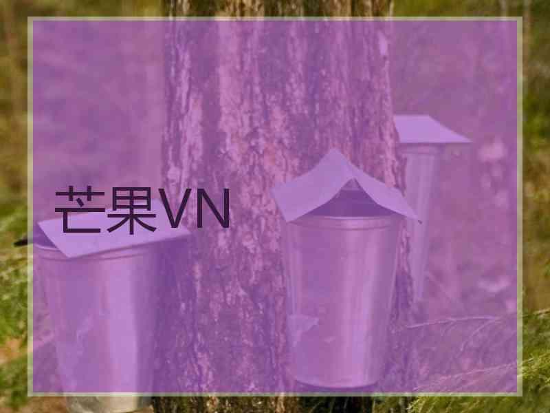 芒果VN