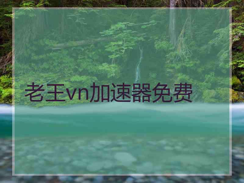 老王vn加速器免费