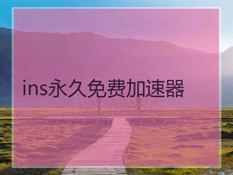 ins永久免费加速器