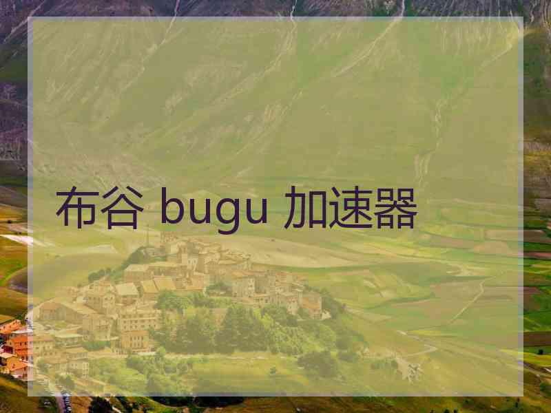 布谷 bugu 加速器