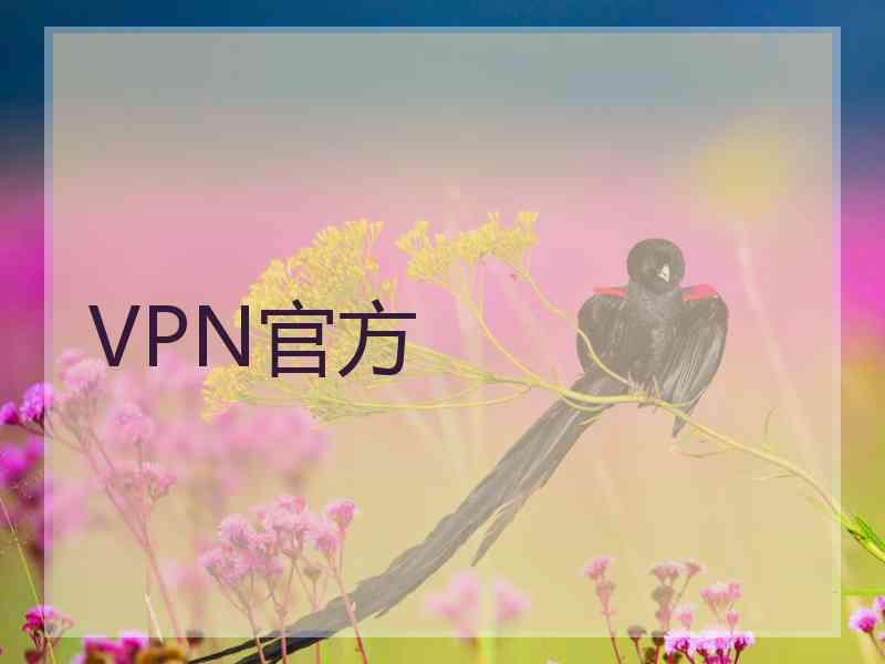 VPN官方