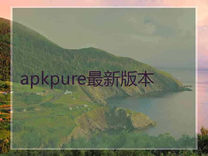 apkpure最新版本