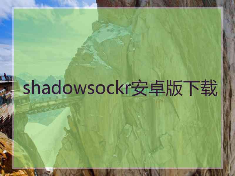shadowsockr安卓版下载